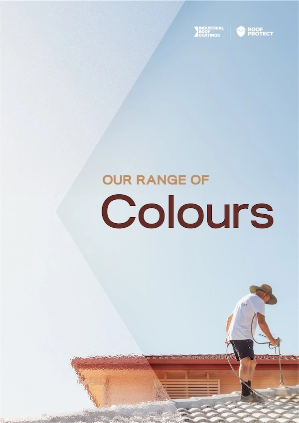 Home &raquo; roof paint